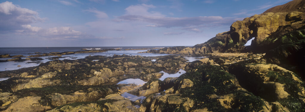 England, Tyne and Wear, Cullercoats.