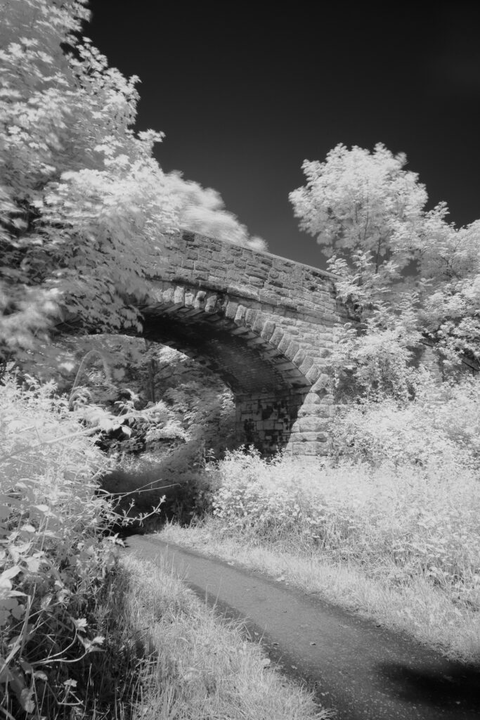 ENGLAND, Tyne & Wear, Holywell Dene.