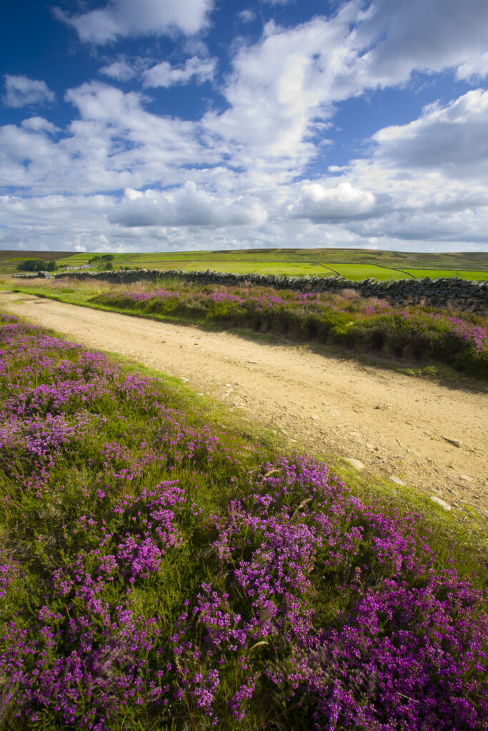 England, Northumberland, Blanchland.