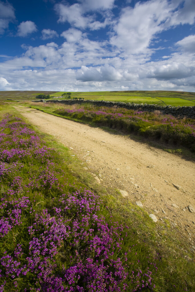 England, Northumberland, Blanchland.