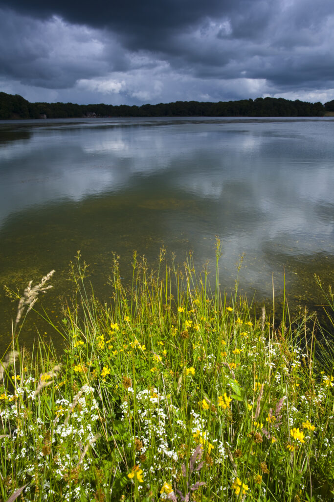 England, Cumbria, Talkin Tarn Country Park.