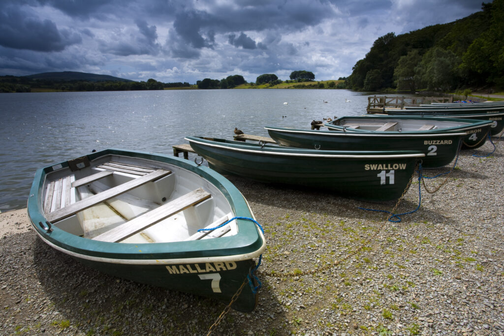 England, Cumbria, Talkin Tarn Country Park.