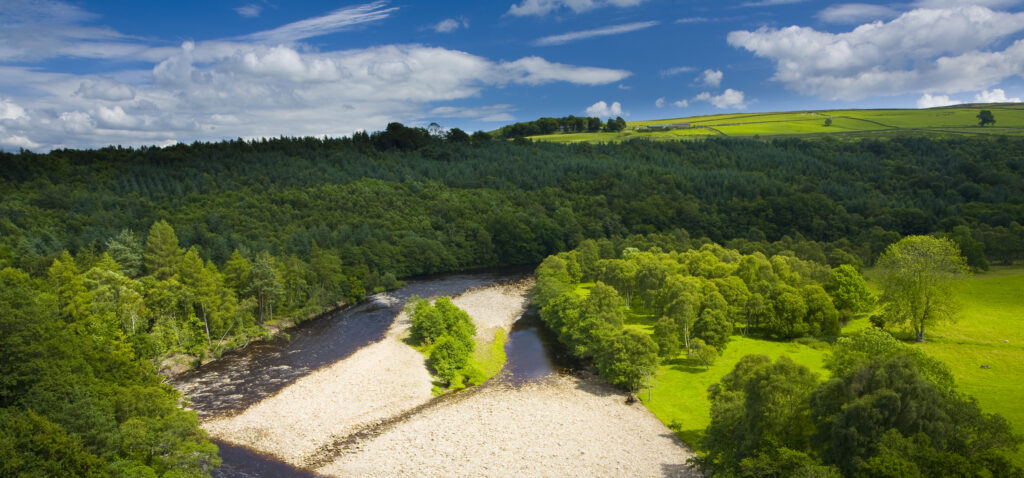 England, Northumberland, Lambley Viaduct.