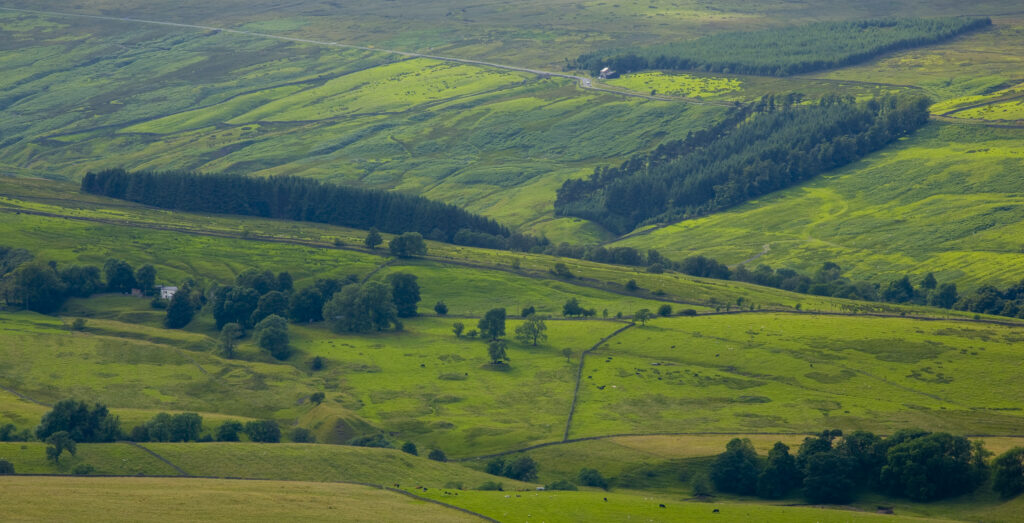 England, Northumberland, West Allen Dale