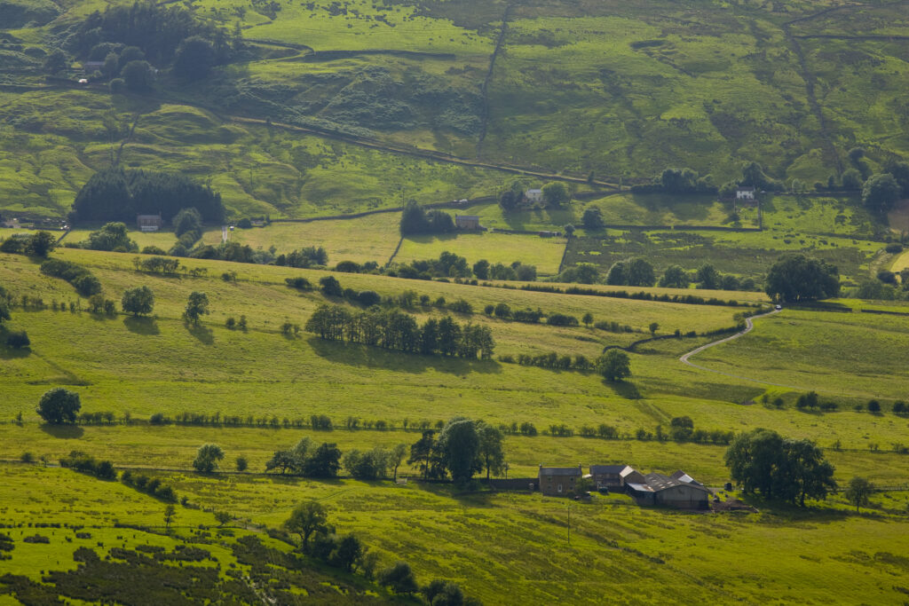 England, Northumberland, West Allen Dale