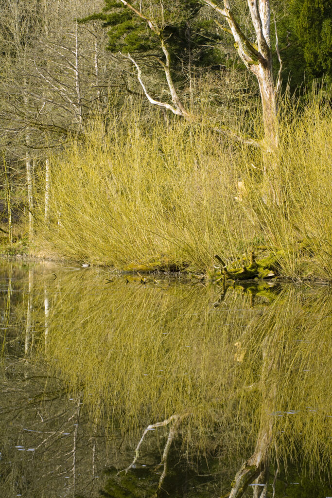 England, Northumberland, Wallington Hall & Gardens.