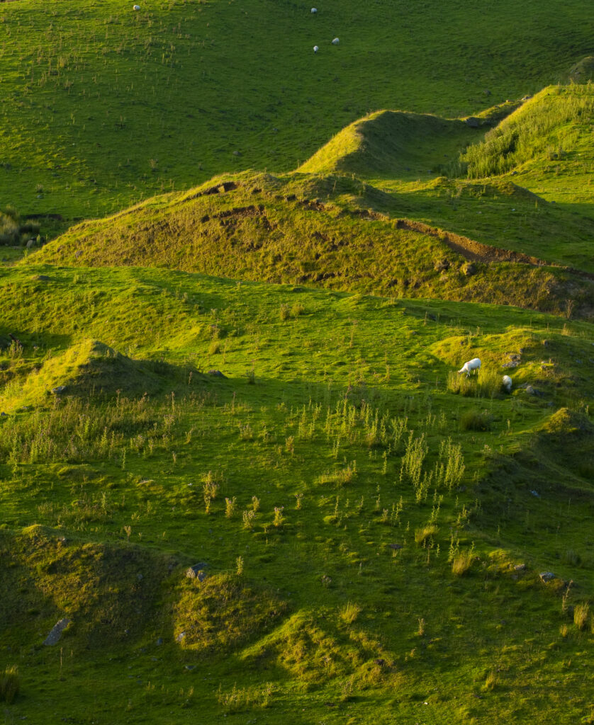 England, Northumberland, Walltown.