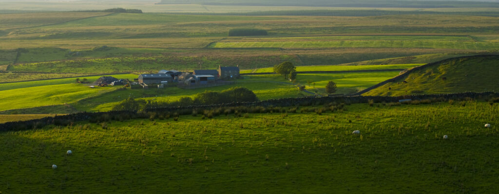 England, Northumberland, Hadrian’s Wall.