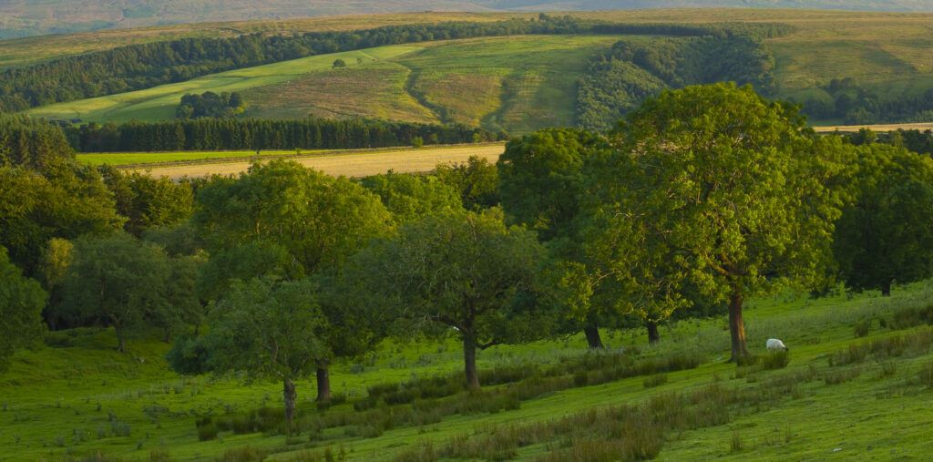England, Northumberland, Hadrian’s Wall.