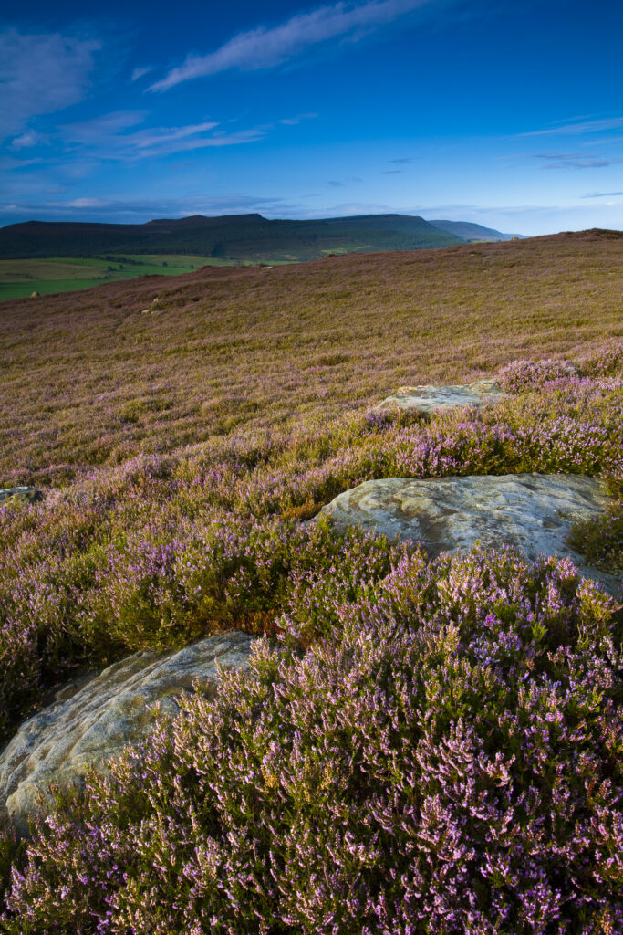 England, Northumberland, Rothbury.