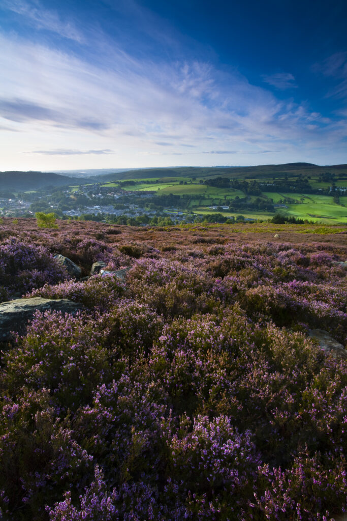 England, Northumberland, Rothbury.