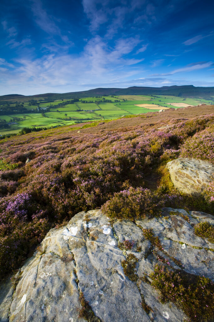 England, Northumberland, Rothbury.