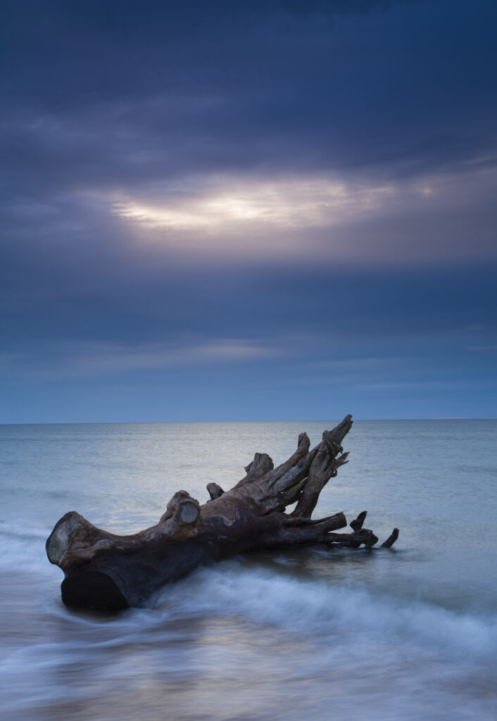 England, Northumberland, Alnmouth.