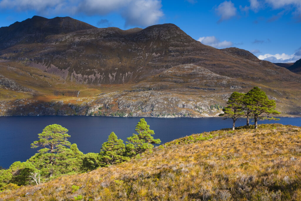 Scotland, Scottish Highlands, Beinn Eighe NNR.