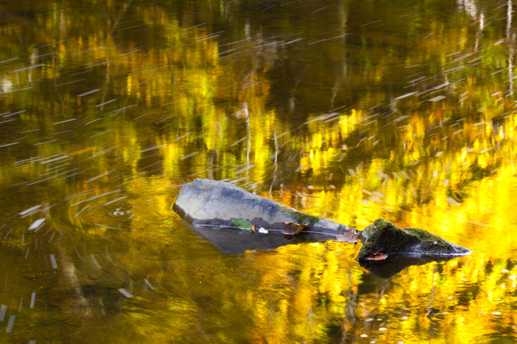 England, Northumberland, Allen Banks & Staward Gorge