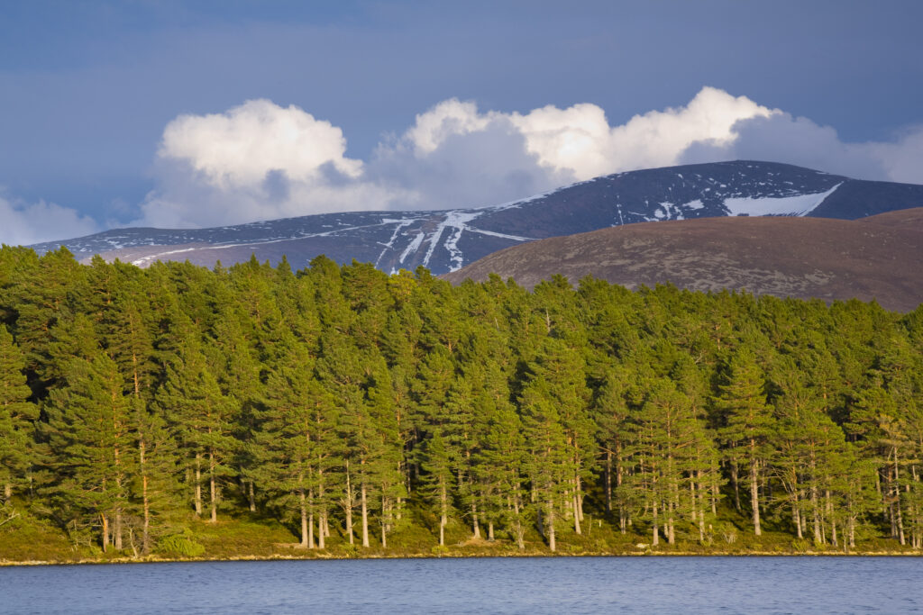 Scotland, Scottish Highlands, Cairngorms National Park.