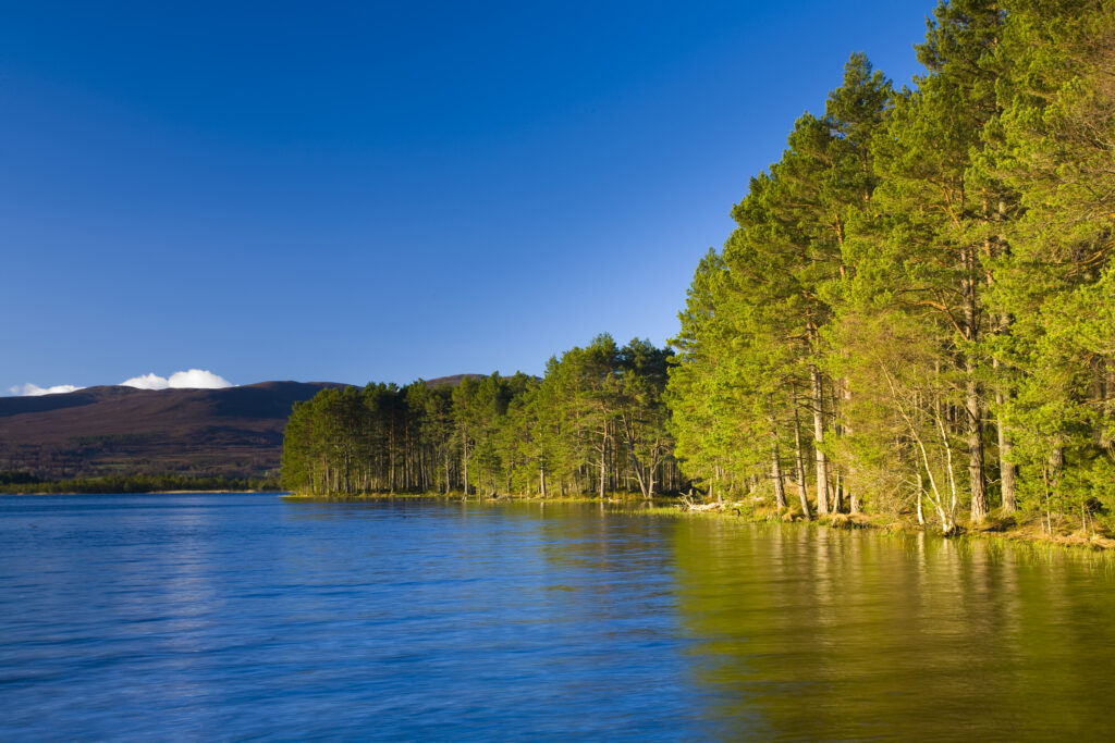 Scotland, Scottish Highlands, Cairngorms National Park.