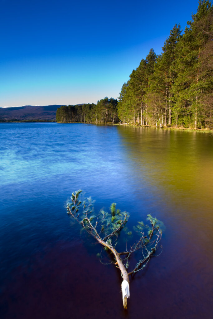 Scotland, Scottish Highlands, Cairngorms National Park.