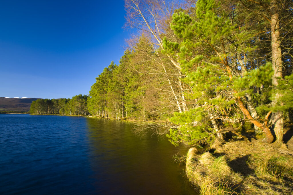 Scotland, Scottish Highlands, Cairngorms National Park.