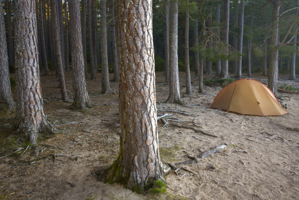 Scotland, Scottish Highlands, Cairngorms National Park.