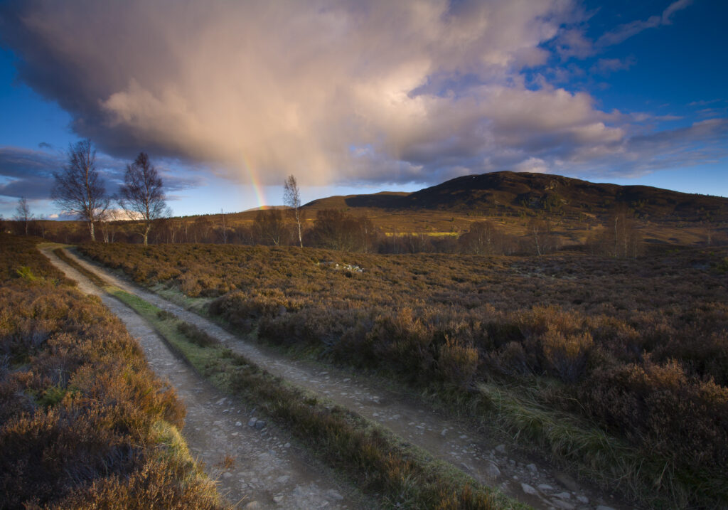 Scotland, Scottish Highlands, Cairngorms National Park.