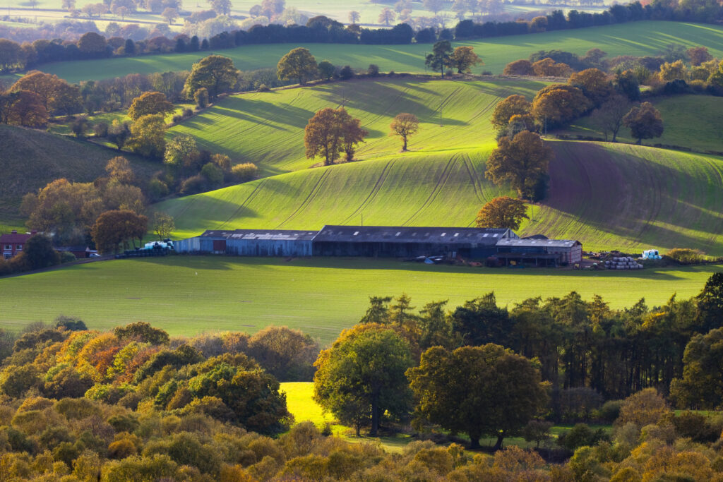 England, Staffordshire / Worcestershire, Kinver Edge.