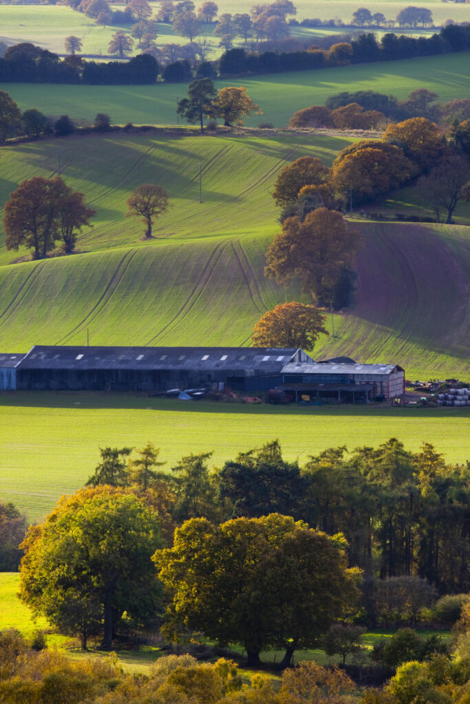 England, Staffordshire / Worcestershire, Kinver Edge.
