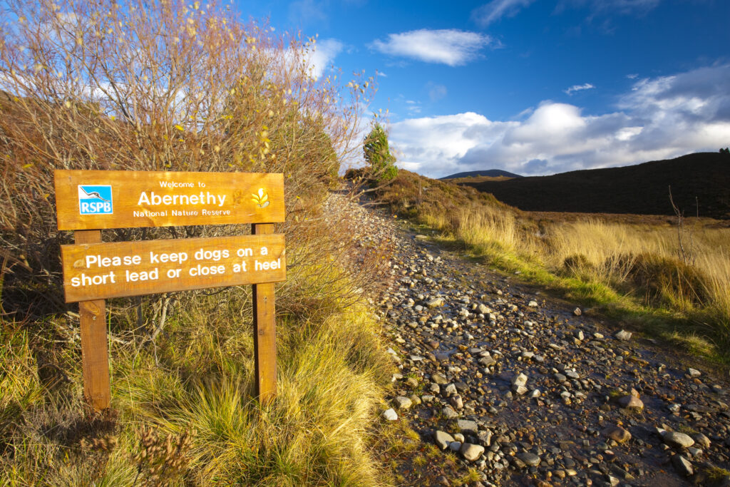 Scotland, Scottish Highlands, Cairngorms National Park.