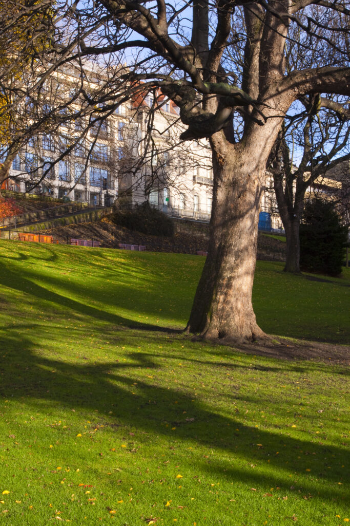 Scotland, Edinburgh, Princes Streeet Gardens.