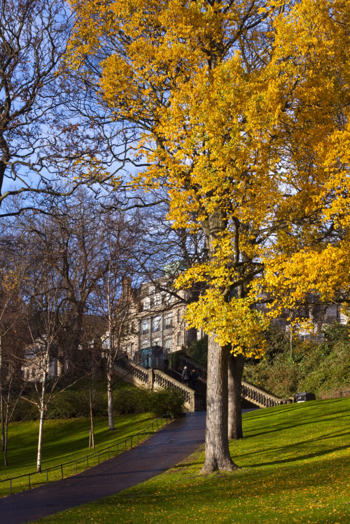 Scotland, Edinburgh, Princes Streeet Gardens.