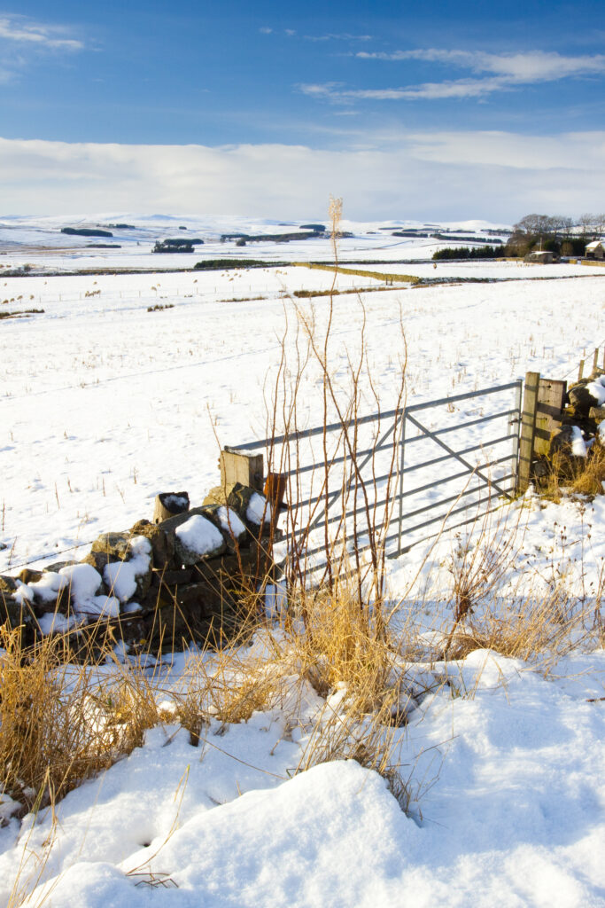 England, Northumberland, Northumberland National Park.