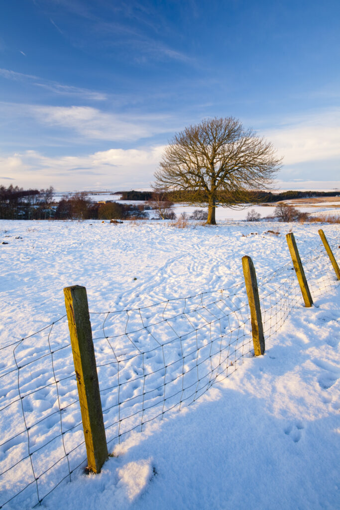 England, Northumberland, Northumberland National Park.