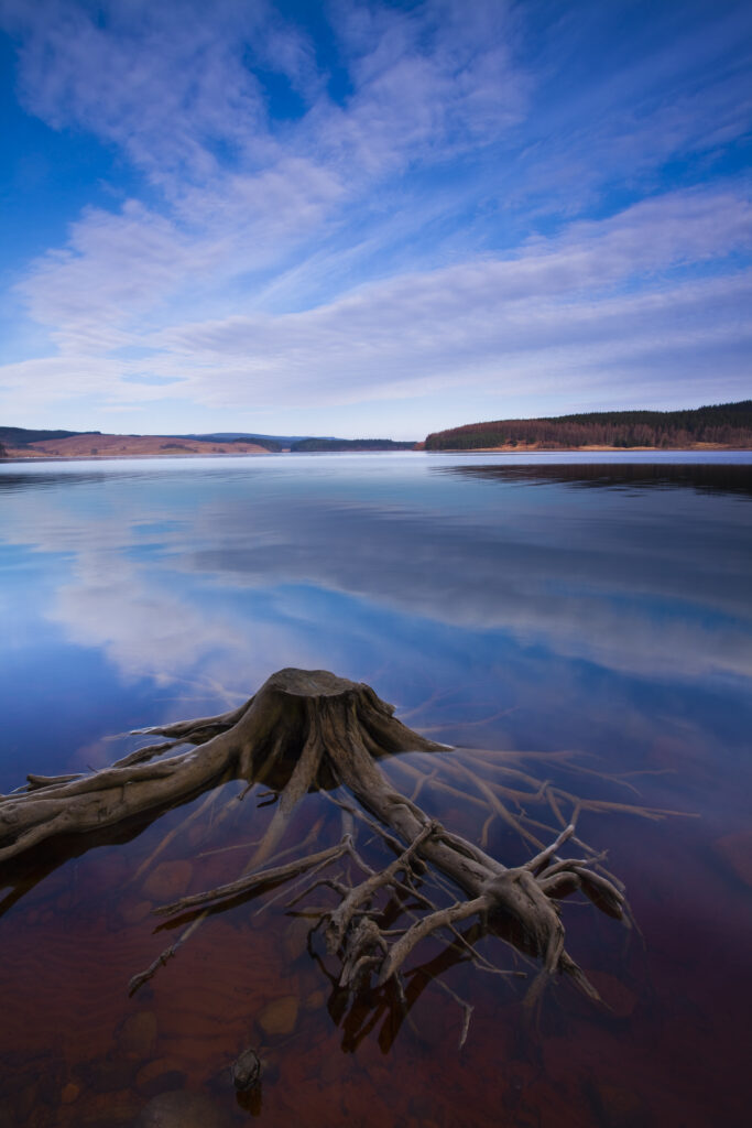 England, Northumberland, Kielder Water & Forest Park.
