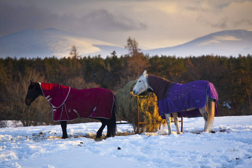 Scotland, Scottish Highlands, Cairngorms National Park.