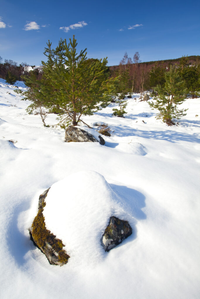 Scotland, Scottish Highlands, Cairngorms National Park.
