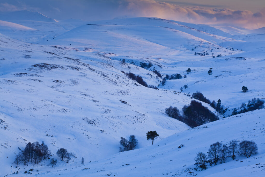 Scotland, Scottish Highlands, Cairngorms National Park.