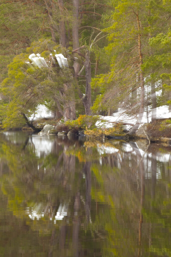 Scotland, Scottish Highlands, Cairngorms National Park.