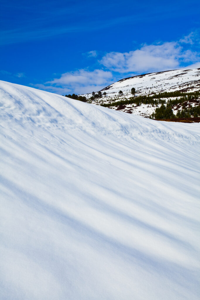 Scotland, Scottish Highlands, Cairngorms National Park.
