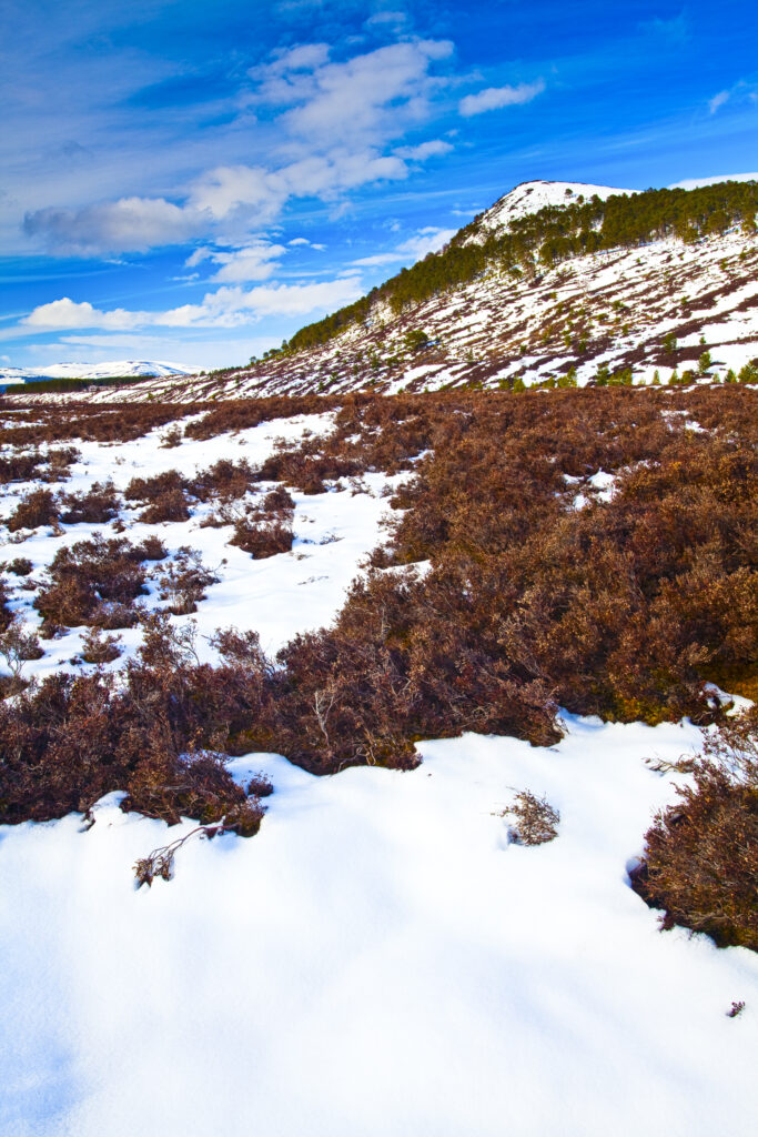 Scotland, Scottish Highlands, Cairngorms National Park.
