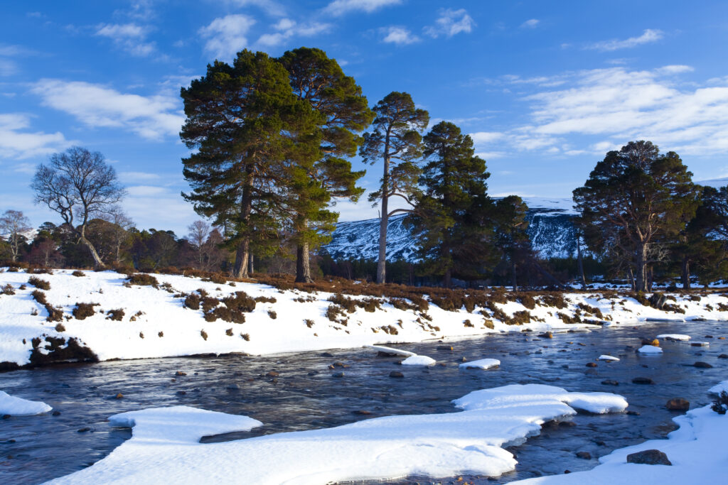 Scotland, Aberdeenshire, Mar Lodge Estate.