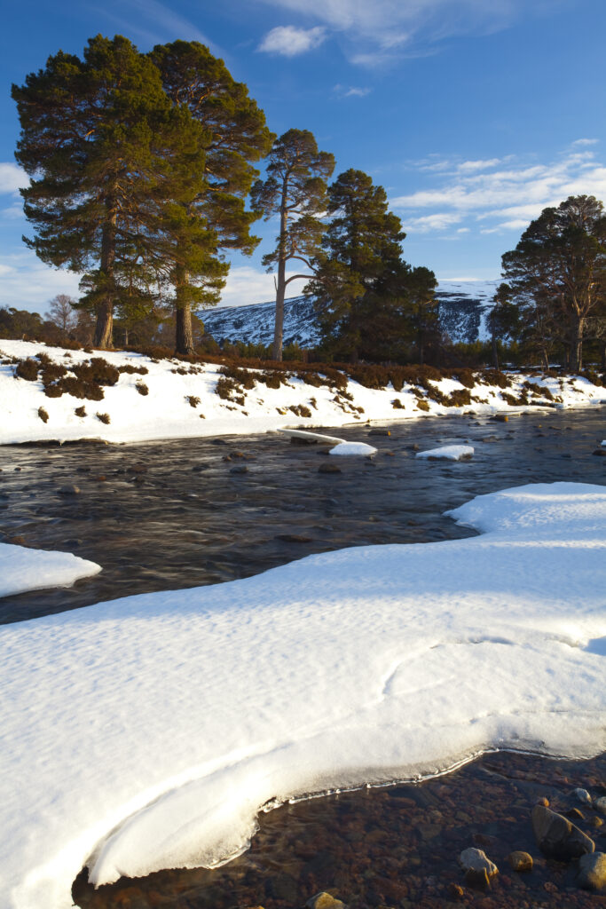 Scotland, Aberdeenshire, Mar Lodge Estate.