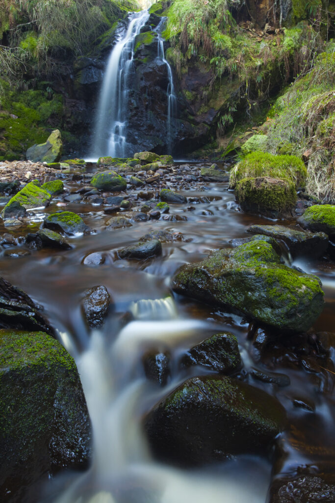 England, Northumberland, Hindhope Linn.