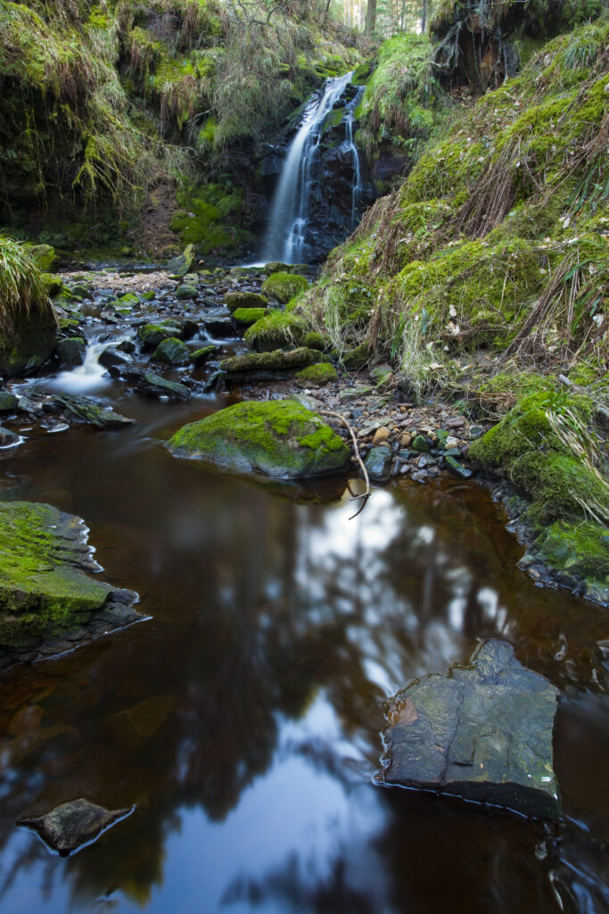 England, Northumberland, Hindhope Linn.
