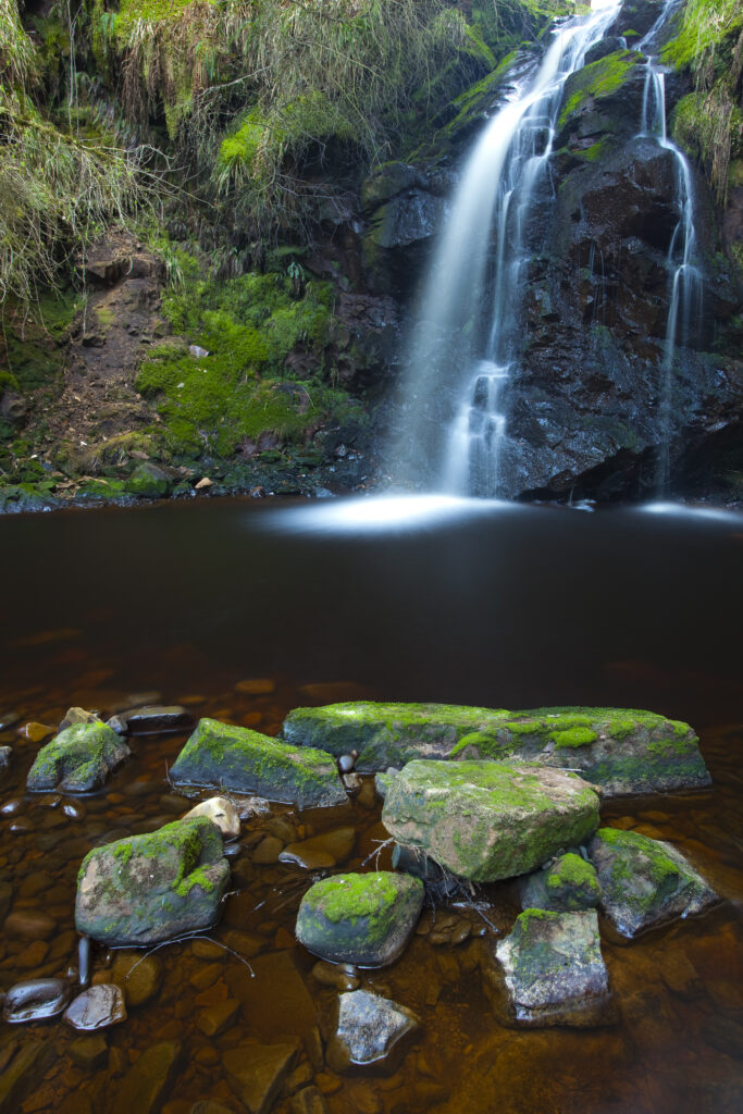 England, Northumberland, Hindhope Linn.