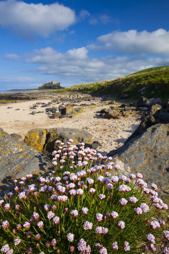 England, Northumberland, Bamburgh.