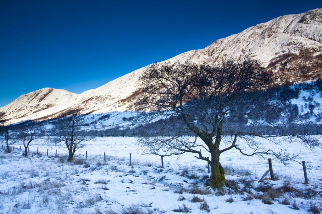 Scotland, Scottish Highlands, Glen Nevis.