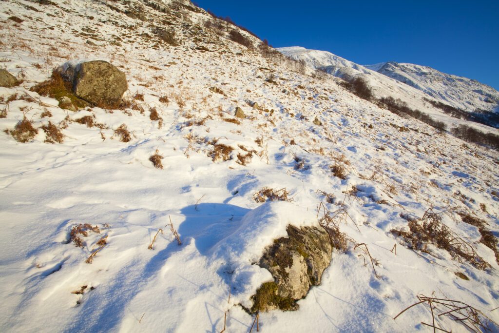 Scotland, Scottish Highlands, Glen Nevis.