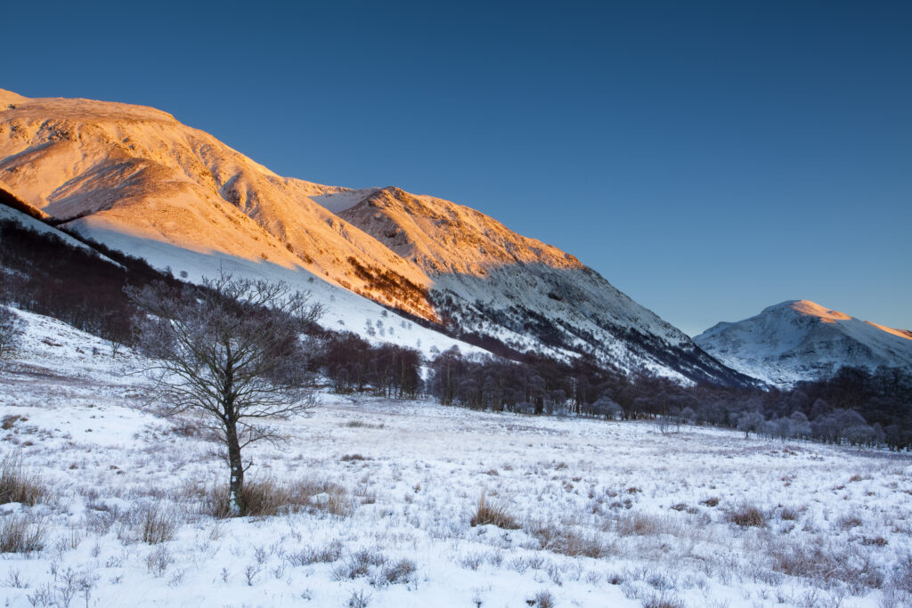 Scotland, Scottish Highlands, Glen Nevis.