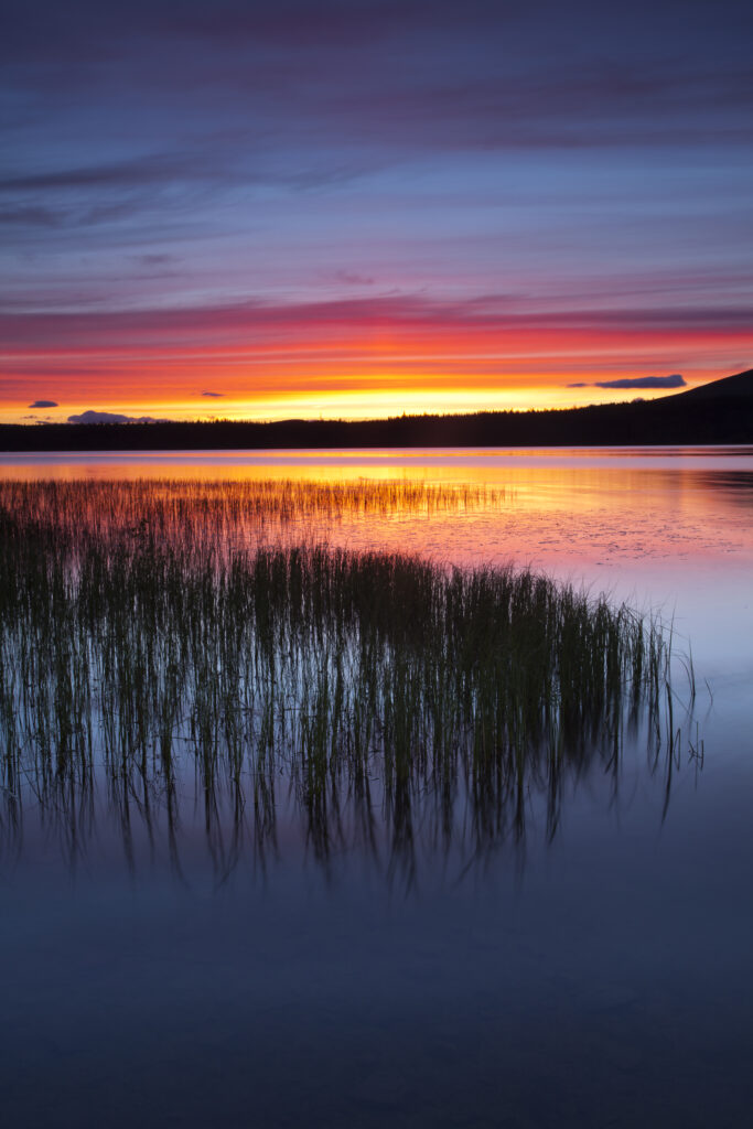 Scotland, Scottish Highlands, Cairngorms National Park.