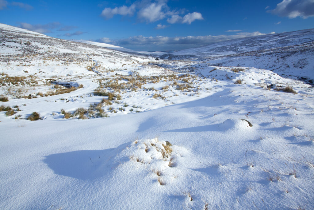 England, Northumberland, Northumberland National Park.